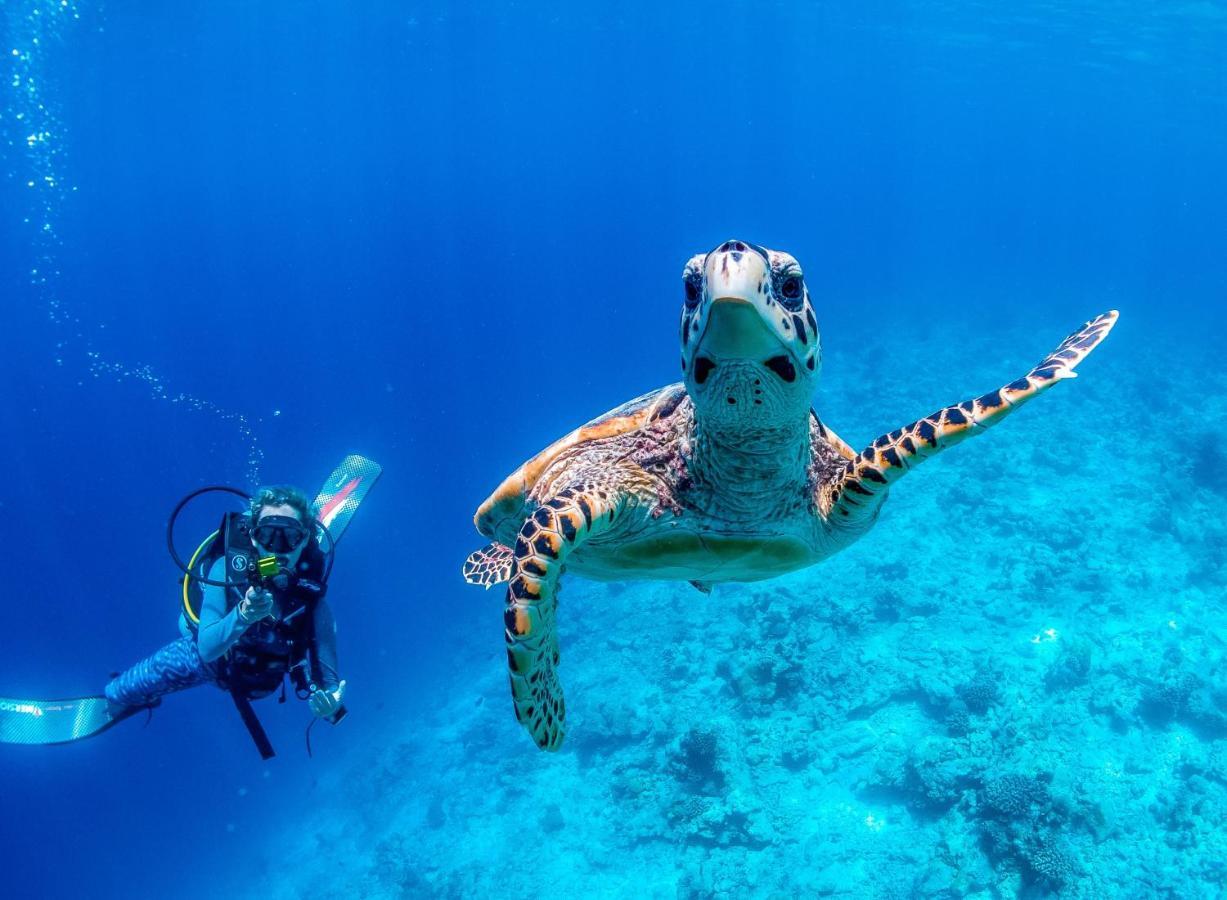 Bliss Dhigurah Otel Dhigurah  Dış mekan fotoğraf
