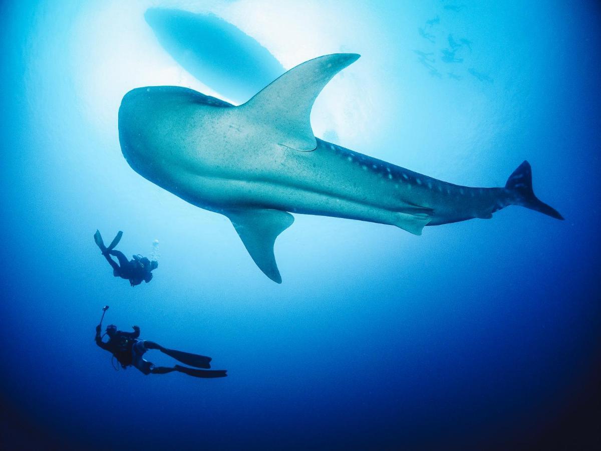 Bliss Dhigurah Otel Dhigurah  Dış mekan fotoğraf