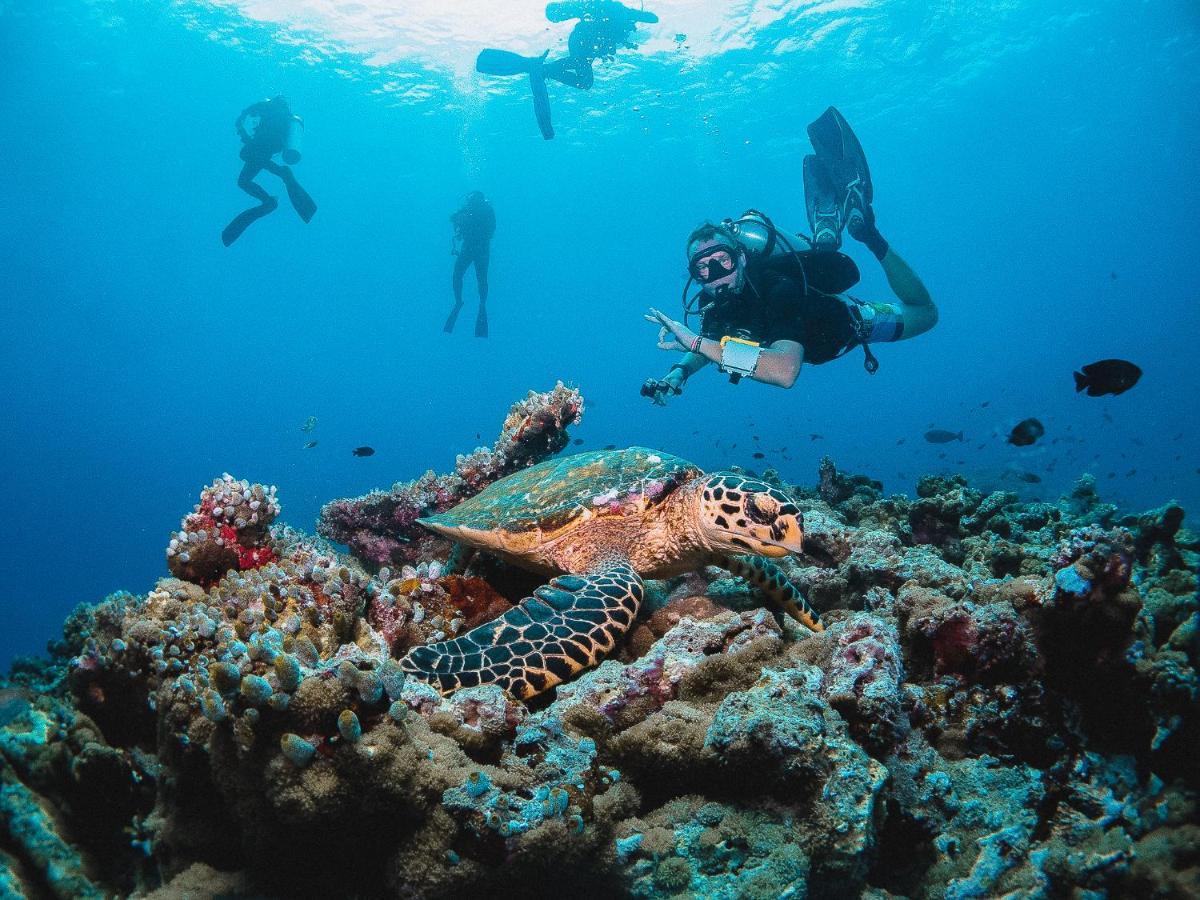 Bliss Dhigurah Otel Dhigurah  Dış mekan fotoğraf