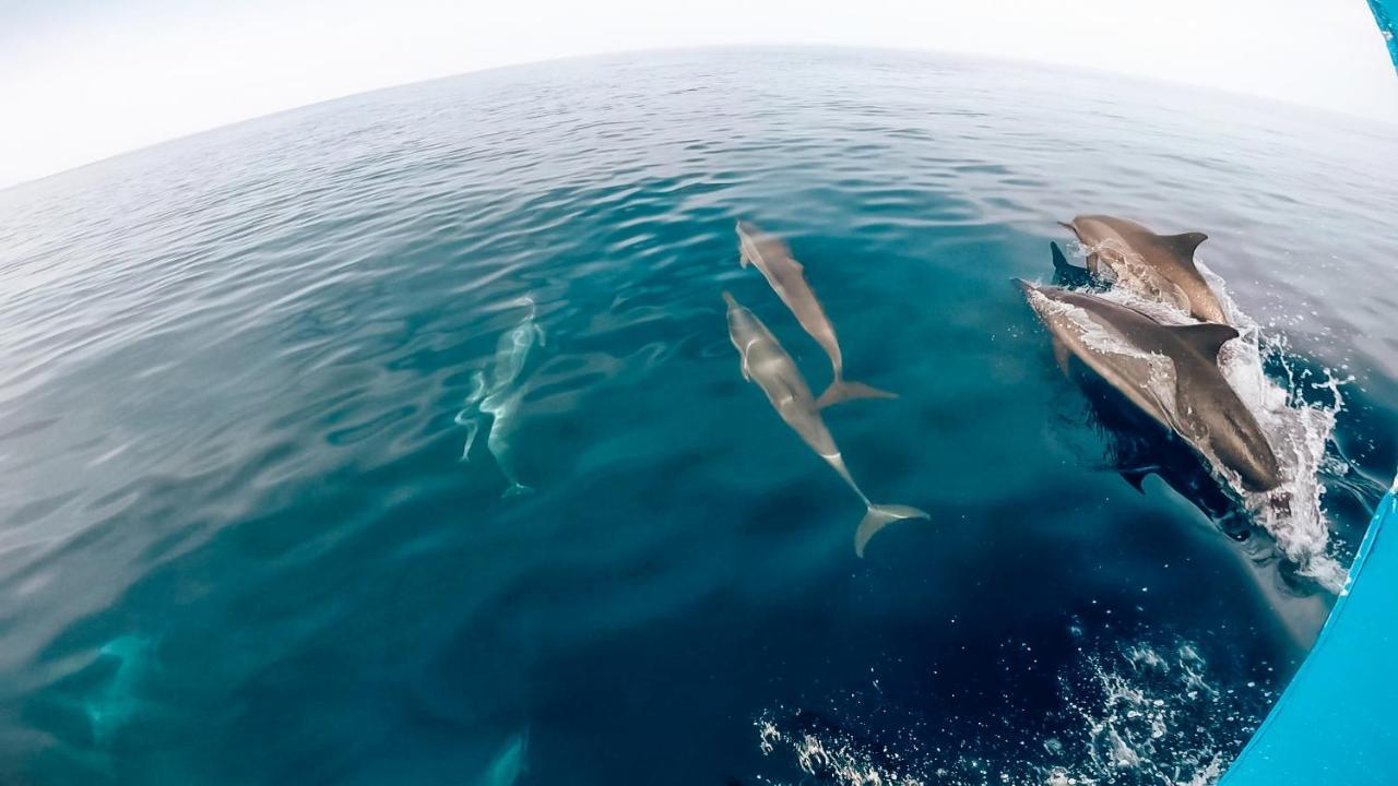 Bliss Dhigurah Otel Dhigurah  Dış mekan fotoğraf