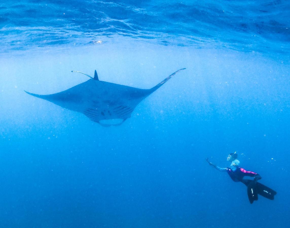 Bliss Dhigurah Otel Dhigurah  Dış mekan fotoğraf