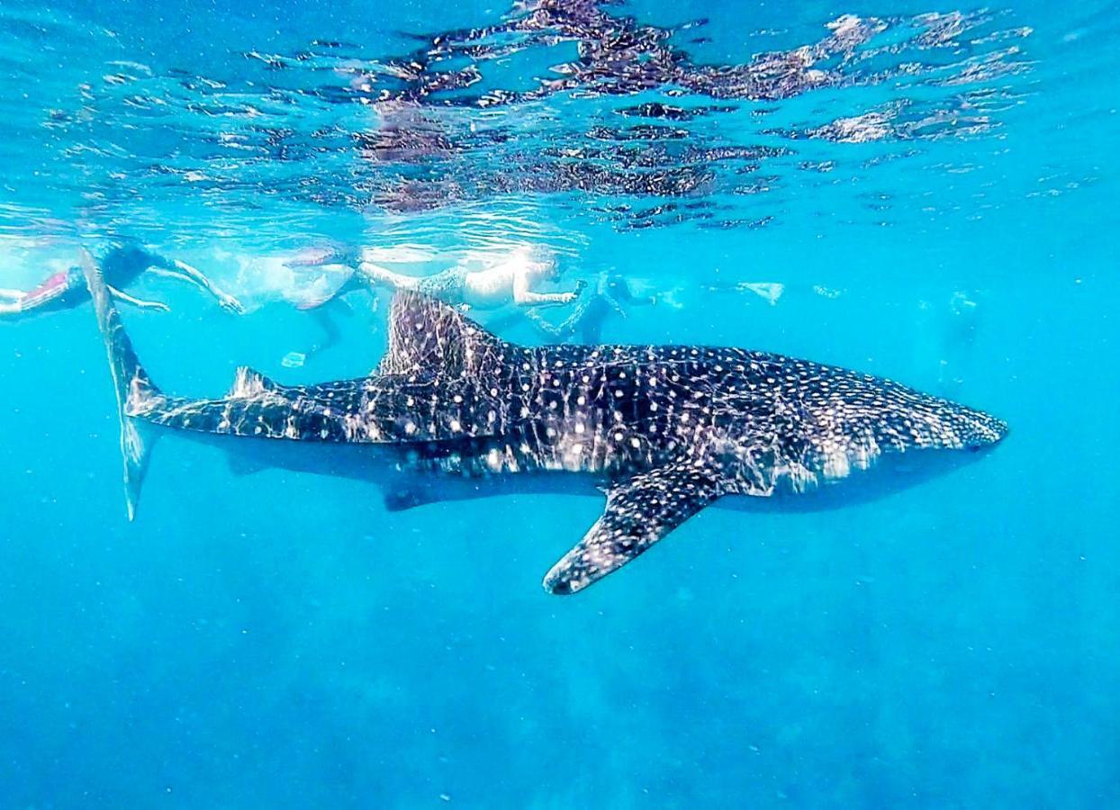 Bliss Dhigurah Otel Dhigurah  Dış mekan fotoğraf